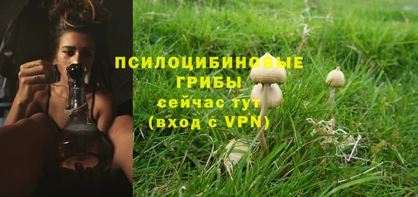 марки lsd Дедовск