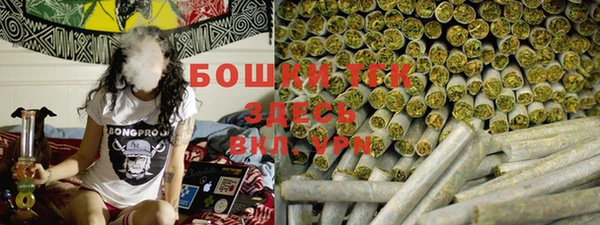 бошки Грязовец