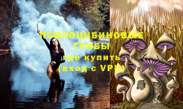 кокаин Гусь-Хрустальный