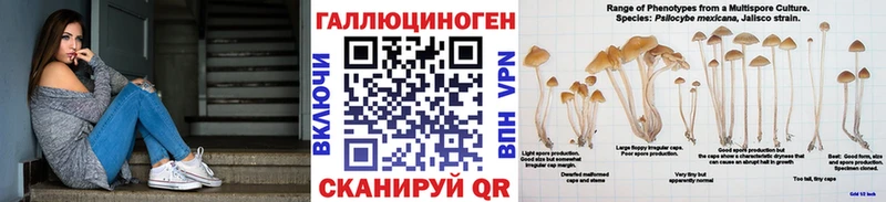 Галлюциногенные грибы мицелий  где купить наркоту  Горнозаводск 